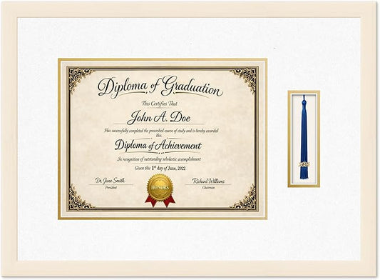 Diploma Frame with Tassel Holder Coastal Whitewash Shadowbox Oyster Shell Over Gold Mat - Fits 13 x 10 Degree Made in the USA