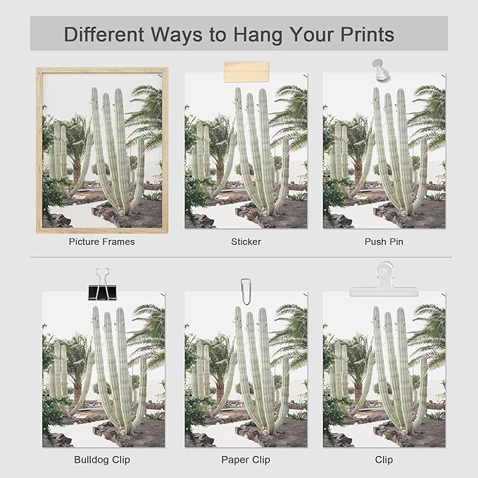 SIGNWIN Poster Wall Art Set of Cactus Desert Nature Wilderness for Living Room, Bedroom, Office - 12"x16"x 8