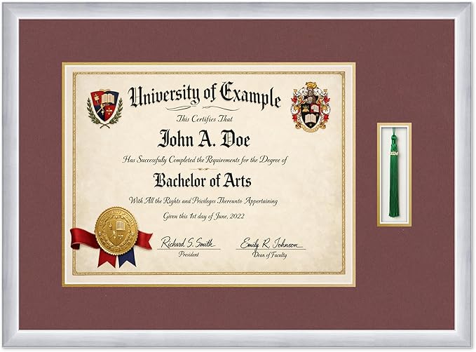 CountryArtHouse Diploma and Tassel Frame Fits 17 x 13 International Diploma with Tassel Stainless Silver Genuine Hardwood Shadowbox with Dark Red Over Metallic Gold Double mat