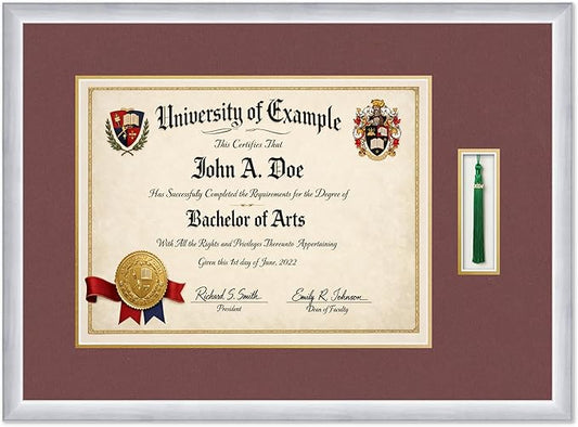 CountryArtHouse Diploma and Tassel Frame Fits 17 x 13 International Diploma with Tassel Stainless Silver Genuine Hardwood Shadowbox with Dark Red Over Metallic Gold Double mat