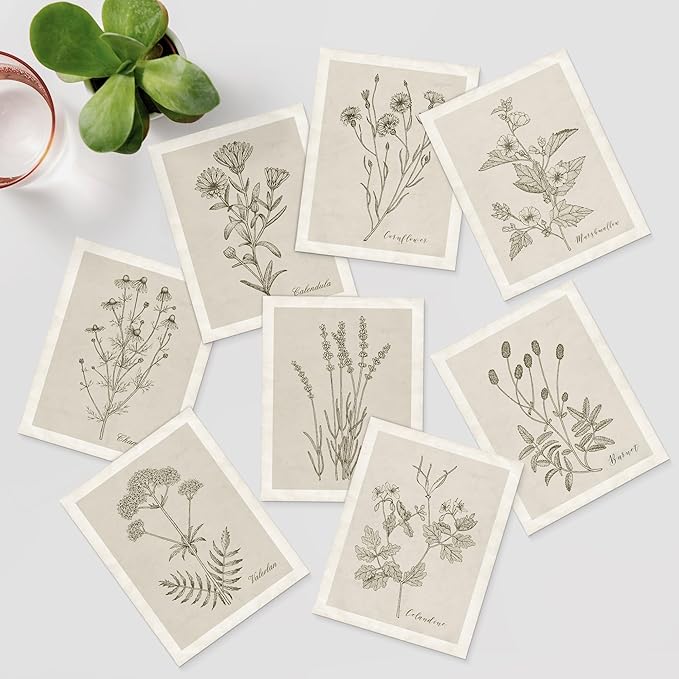 SIGNWIN Poster Wall Art Set of Wildflower, Botanical Floral, Minimalist Decor, Vintage Poster for Living Room, Bedroom, Office - 8"x10"x 8