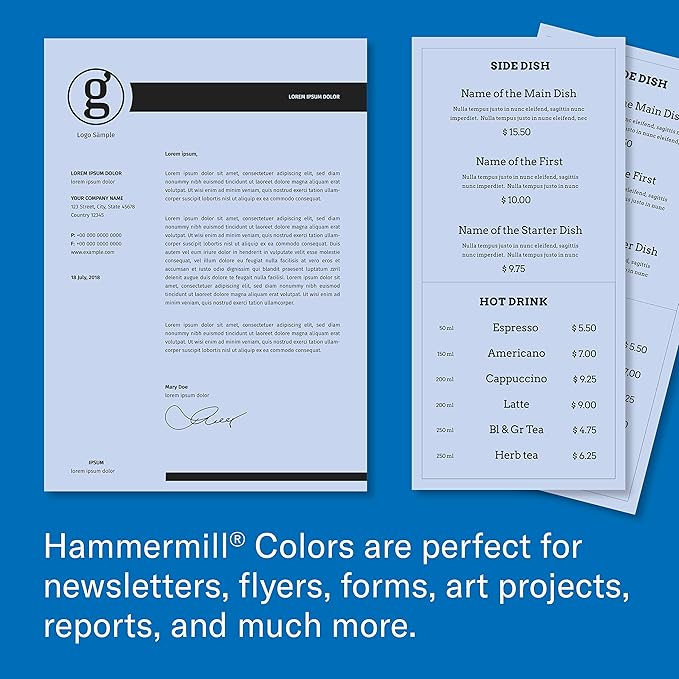 Hammermill Colored Paper, 20 lb Orchid Printer Paper, 8.5 x 14 - Made in the USA, Pastel Paper, 103788C - 10 Ream (5,000 Sheets)
