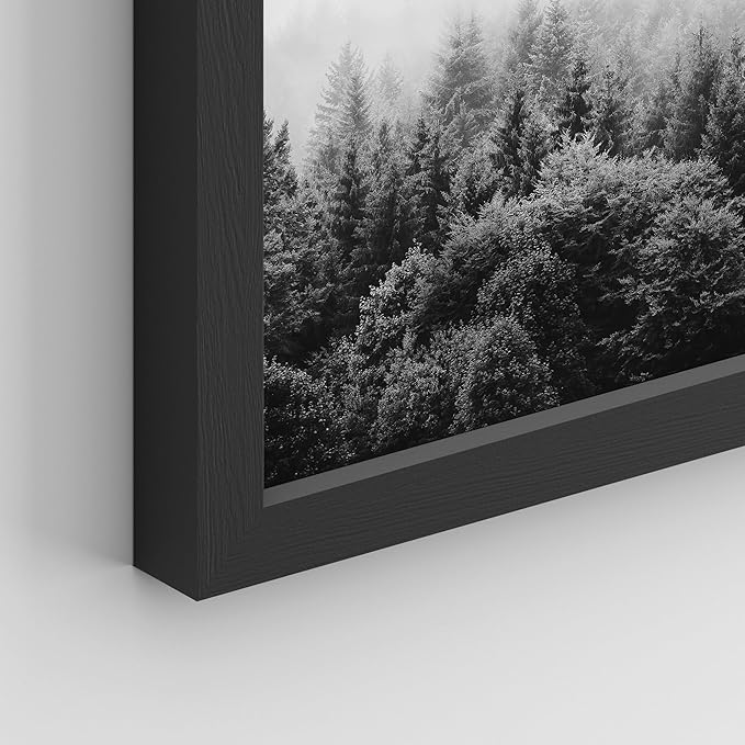 SIGNWIN Framed Poster Bathroom Decor 11"x14"x 8 Black, Wall Art Room Decor Multicolor for Living Room, Bedroom, Office Black & White Duotone Geometric Dark Plants Nature Abstract Shapes