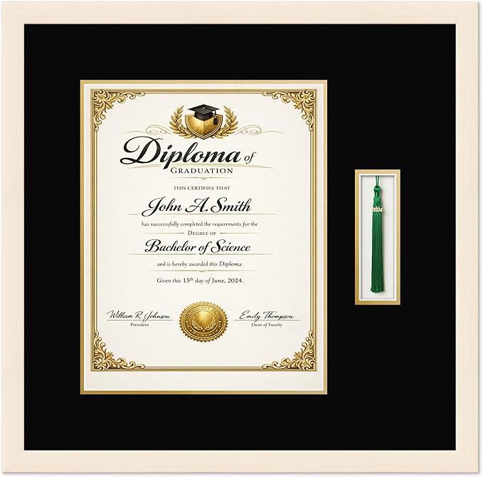 CountryArtHouse Diploma and Tassel Frame Fits 11 x 14 College Diploma (Portrait) with TASS Coastal Whitewash Genuine Hardwood Shadowbox with Black Over Metallic Gold Double mat