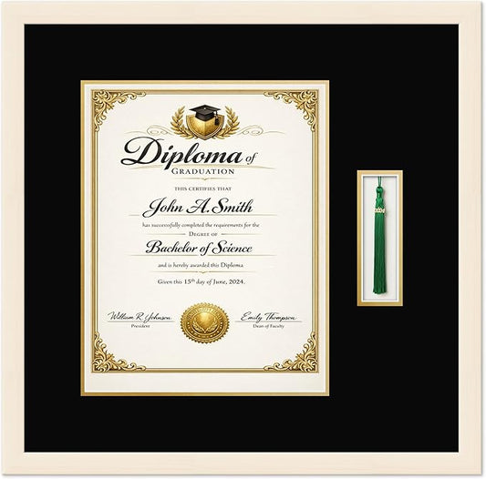 CountryArtHouse Diploma and Tassel Frame Fits 11 x 14 College Diploma (Portrait) with TASS Coastal Whitewash Genuine Hardwood Shadowbox with Black Over Metallic Gold Double mat