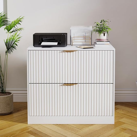 Wooden Two-Drawer Filing Cabinet,Horizontal Home Office Filing Cabinet with Three-Level Adjustable Hanging Rails,Doubles as A Printer Stand,Suitable for A4/Letter/Legal Sizes(White-04)
