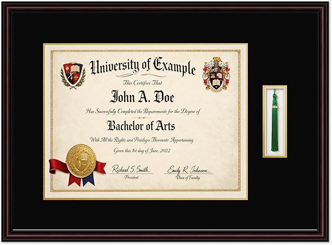 CountryArtHouse Diploma and Tassel Frame Fits 17 x 13 International Diploma with Tassel Hook Executive Brown Genuine Hardwood Shadowbox with Black Over Metallic Gold Double mat