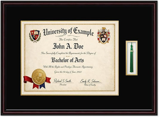 CountryArtHouse Diploma and Tassel Frame Fits 17 x 13 International Diploma with Tassel Hook Executive Brown Genuine Hardwood Shadowbox with Black Over Metallic Gold Double mat