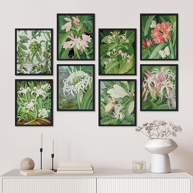SIGNWIN Framed Poster Bathroom Decor, Wall Art Room Decor Multicolor for Living Room, Bedroom, Office Botanical Floral Garden Zen Flower Classic Vintage Illustrations Bohemian - 12"x16"x 8 Black