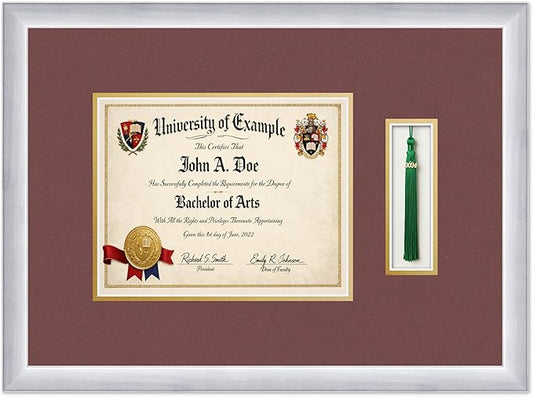CountryArtHouse Diploma and Tassel Frame Fits 10 x 8 Professional License with Tassel Ho Stainless Silver Genuine Hardwood Shadowbox with Dark Red Over Metallic Gold Double mat