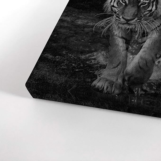Smile Art Design It's Time to Shine Black and White Tiger Motivational Wall Art Canvas Print Inspirational Wall Art Entrepreneur Quote Modern Office Living Room Decor Gift Ready to Hang 40x30