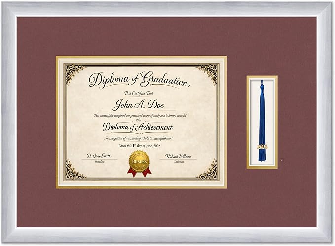 Diploma Frame with Tassel Holder 21.25 x 15.5 Stainless Silver Shadowbox Dark Red Over Gold Mat - Fits 11 x 8.5 Degree Made in the USA