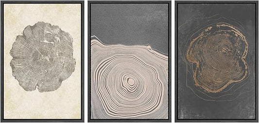 SIGNWIN Framed Canvas Print Wall Art Set Pastel Gray Wood Tree Ring Spirals Nature Abstract Drawings Modern Art Contemporary Minimal for Living Room, Bedroom, Office - 16"x24"x3 Black
