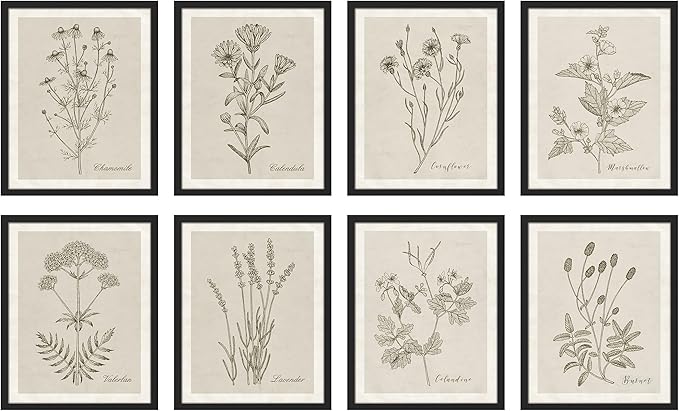 SIGNWIN Framed Poster Wall Art Set of Wildflower, Botanical Floral, Minimalist Decor, Vintage Poster for Living Room, Bedroom, Office - 12"x16"x 8 Black