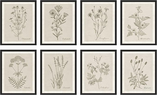 SIGNWIN Framed Poster Wall Art Set of Wildflower, Botanical Floral, Minimalist Decor, Vintage Poster for Living Room, Bedroom, Office - 11"x14"x 8 Black