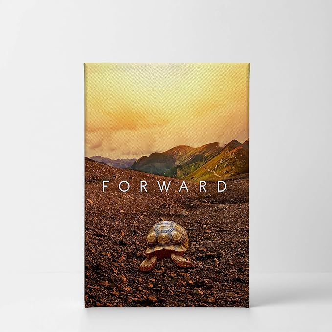 Smile Art Design Forward Inspiring Turtle and Mountain View Motivational Wall Art Canvas Print Inspirational Wall Art Entrepreneur Quote Office Living Room Decor Artwork Gift Ready to Hang 40x30