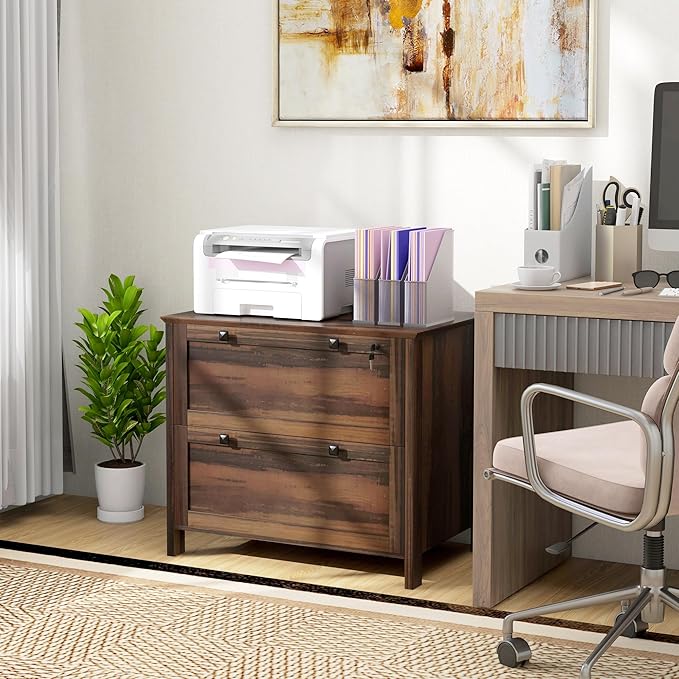 2 Drawer File Cabinet with Lock,Modern Farmhouse Home Office Filing Organizer for Letter Legal A4 Size File Folder Storage,Lateral Filing Cabinet with Keys and Adjustable Hanging Bar (Style-01)