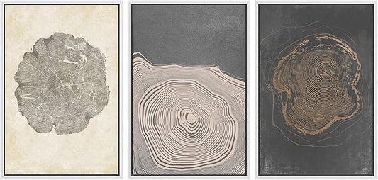SIGNWIN Framed Canvas Print Wall Art Set Pastel Gray Wood Tree Ring Spirals Nature Abstract Drawings Modern Art Decorative Contemporary Minimal for Living Room, Bedroom, Office - 24"x36"x3 White