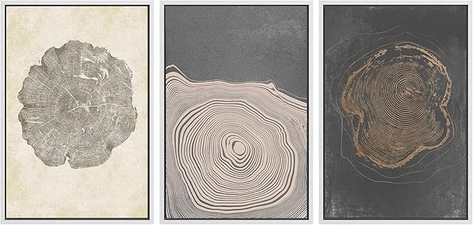 SIGNWIN Framed Canvas Print Wall Art Set Pastel Gray Wood Tree Ring Spirals Nature Abstract Drawings Modern Art Decorative Contemporary Minimal for Living Room, Bedroom, Office - 16"x24"x3 White