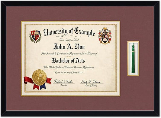 CountryArtHouse Diploma and Tassel Frame Fits 17 x 13 International Diploma with Tassel Hook Matte Black Genuine Hardwood Shadowbox with Dark Red Over Metallic Gold Double mat