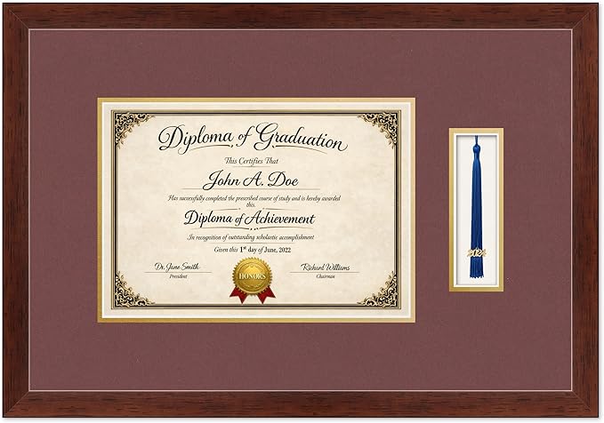 Diploma Frame with Tassel Holder Rustic Walnut Shadowbox Dark Red Over Gold Mat - Fits 11.69 x 8.27 Degree Made in the USA