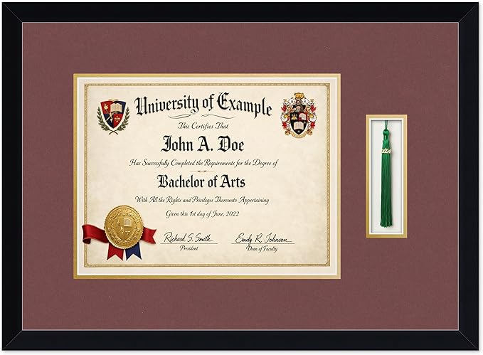 CountryArtHouse Diploma and Tassel Frame Fits 13 x 10 College Diploma (Traditional) with TASS Matte Black Genuine Hardwood Shadowbox with Dark Red Over Metallic Gold Double mat