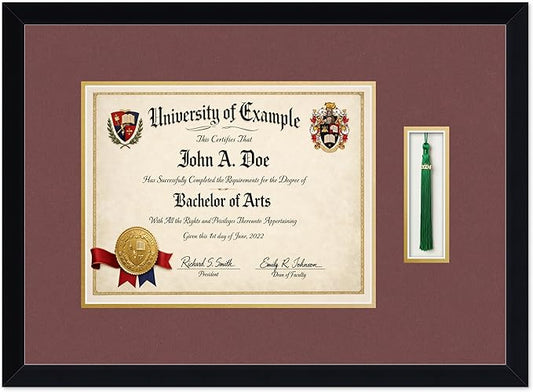 CountryArtHouse Diploma and Tassel Frame Fits 13 x 10 College Diploma (Traditional) with TASS Matte Black Genuine Hardwood Shadowbox with Dark Red Over Metallic Gold Double mat