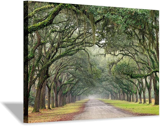 Hardy Gallery Green Oak Trees Art Painting: Landscape Artwork Forest Picture Print on Canvas Wall Art for Living Rooms (36"x24")