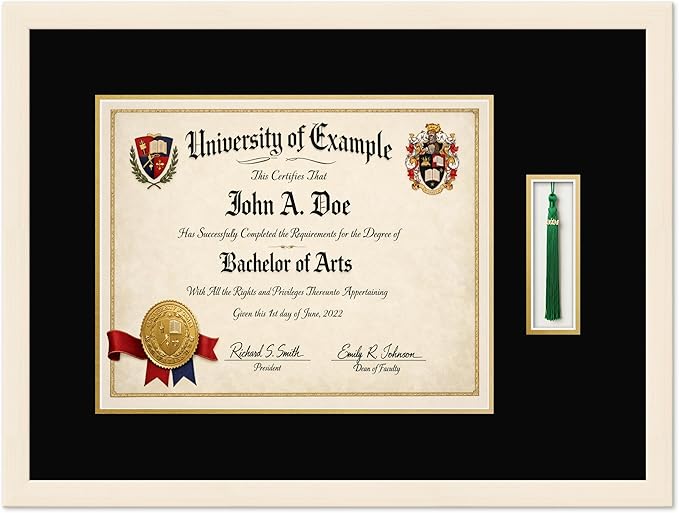 CountryArtHouse Diploma and Tassel Frame Fits 15 x 12 Military/Government with Tassel Hook Coastal Whitewash Genuine Hardwood Shadowbox with Black Over Metallic Gold Double mat