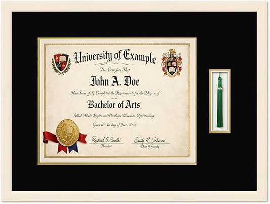 CountryArtHouse Diploma and Tassel Frame Fits 15 x 12 Military/Government with Tassel Hook Coastal Whitewash Genuine Hardwood Shadowbox with Black Over Metallic Gold Double mat