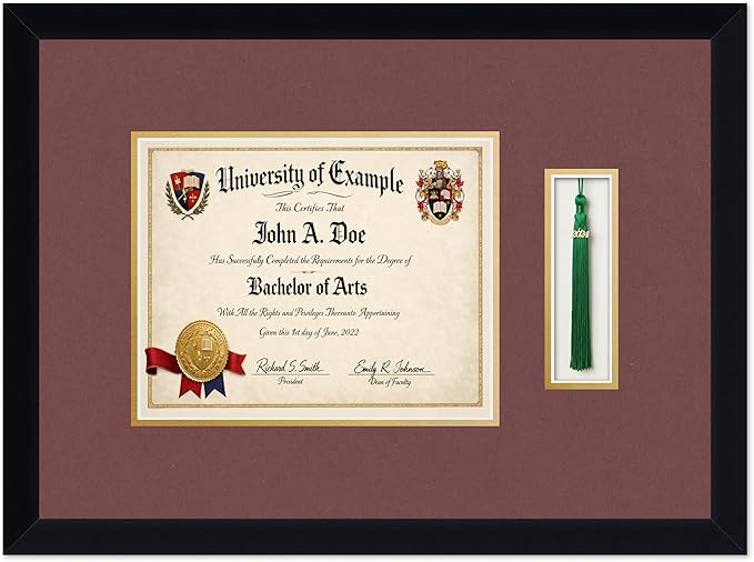 CountryArtHouse Diploma and Tassel Frame Fits 10 x 8 Professional License with Tassel Hook Matte Black Genuine Hardwood Shadowbox with Dark Red Over Metallic Gold Double mat
