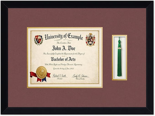 CountryArtHouse Diploma and Tassel Frame Fits 10 x 8 Professional License with Tassel Hook Matte Black Genuine Hardwood Shadowbox with Dark Red Over Metallic Gold Double mat