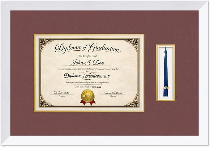 Diploma Frame with Tassel Holder Bright White Shadowbox Dark Red Over Gold Mat - Fits 11.69 x 8.27 Degree Made in the USA