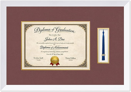Diploma Frame with Tassel Holder Bright White Shadowbox Dark Red Over Gold Mat - Fits 11.69 x 8.27 Degree Made in the USA