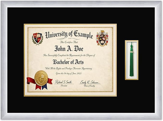 CountryArtHouse Diploma and Tassel Frame Fits 14 x 11 College Diploma (Modern) with Tassel Stainless Silver Genuine Hardwood Shadowbox with Black Over Metallic Gold Double mat