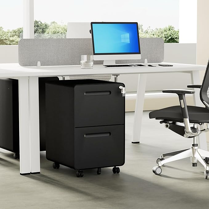 2 Drawers Metal Filing Cabinet with Lock, with 25 File Folders, Mobile Vertical Cabinet with Fully Assembled Except Casters, for Home Office, Black