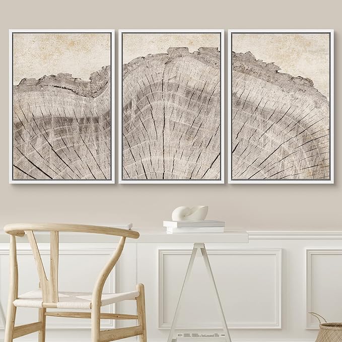 SIGNWIN Framed Canvas Print Wall Art Set Retro Close Up Oak Wood Tree Rings Nature Wilderness Illustrations Modern Art Decorative Farmhouse Zen for Living Room, Bedroom, Office - 16"x24"x3 White