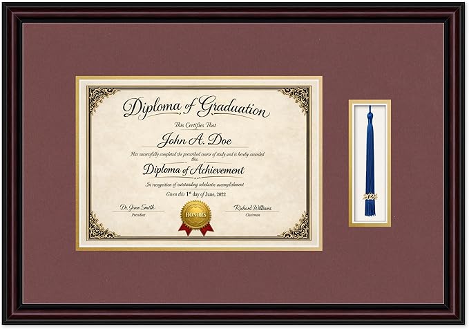 Diploma Frame with Tassel Holder 21.94 x 15.27 Executive Brown Shadowbox Dark Red Over Gold Mat - Fits 11.69 x 8.27 Degree Made in the USA