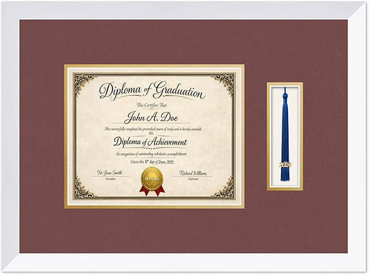 Diploma Frame with Tassel Holder Bright White Shadowbox Dark Red Over Gold Mat - Fits 10 x 8 Degree Made in the USA