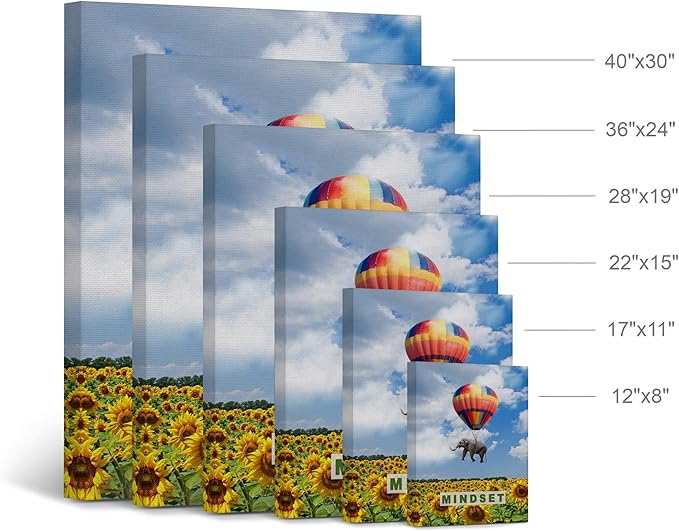 Smile Art Design Mindset Elephant with Balloon Sunflower Field Motivational Wall Art Canvas Print Inspirational Wall Art Entrepreneur Quote Canvas Print Modern Office Decor Gift Ready to Hang 12x8