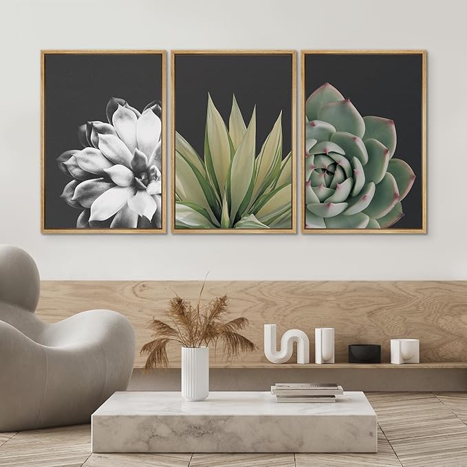 SIGNWIN Framed Wall Art Print Set Echeveria Succulent Variety Nature Plants Photography Modern Art Closeup Relax/Calm Dark Black and White for Living Room, Bedroom, Office - 24"x36"x3 Natural