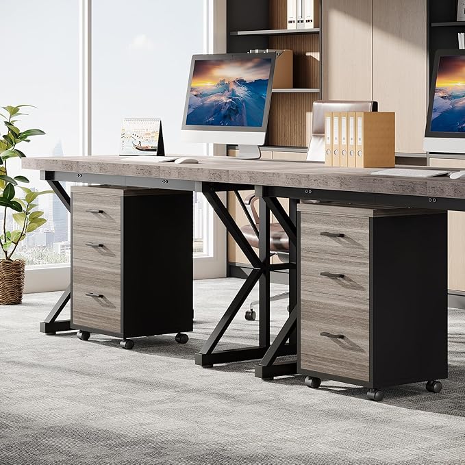 Triebsigns 3 Drawer File Cabinet, Vertical Mobile Filing Cabinet, Under Desk Rolling Printer Stand for Home Office, fits A4 or Letter Size (Grey)