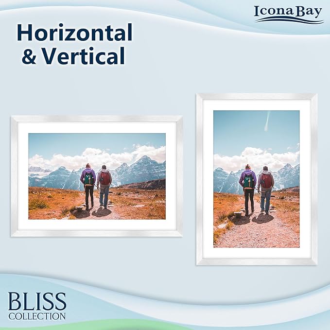 Icona Bay - 11x17 Silver Picture Frame with Removable Mat to 9x14 Photo - Modern Style Engineered Wood Poster Frame - Wall Mount Only - Bliss Collection