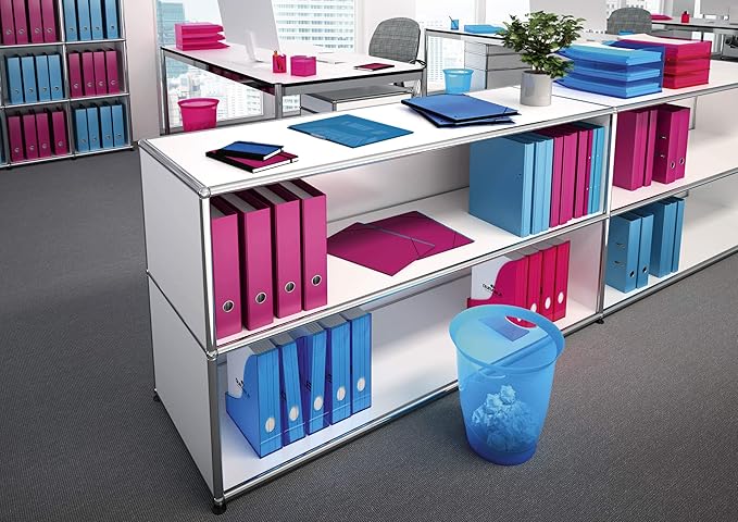 Durable 1701712540 Magazine File Basic, 6 Pieces, Blue Transparent