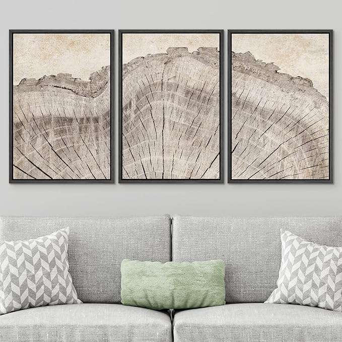 SIGNWIN Framed Canvas Print Wall Art Set Retro Close Up Oak Wood Tree Rings Nature Wilderness Illustrations Modern Art Decorative Farmhouse Zen for Living Room, Bedroom, Office - 16"x24"x3 Black