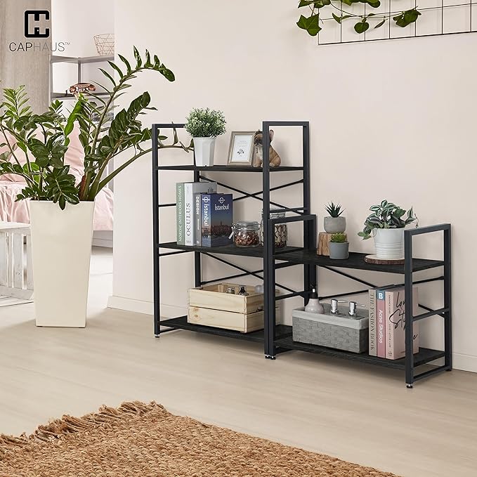 CAPHAUS 2 Tier Small Bookshelf, Bookcase Shelf Storage Organizer for Living Room, 24 Inch Width Free Standing Shelf, Industrial Book Shelves for Home Office, Black Vintage Shelves & Metal Frame