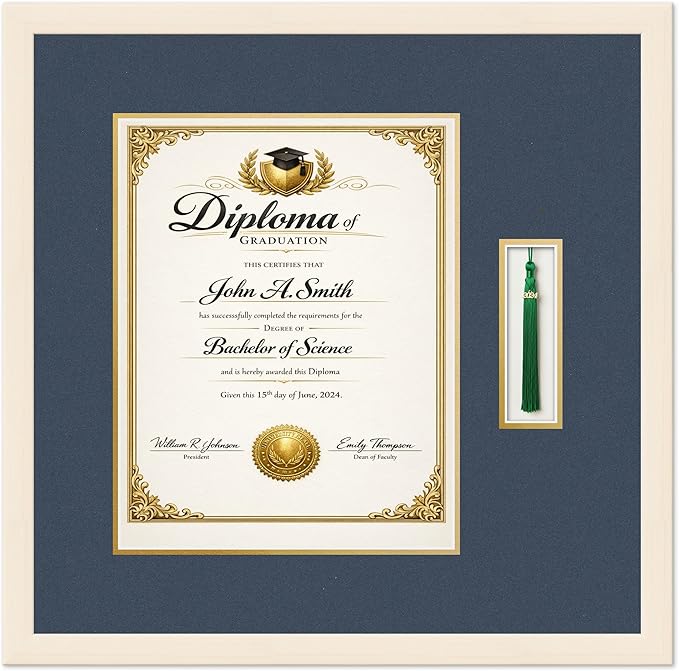CountryArtHouse Diploma and Tassel Frame Fits 11 x 14 College Diploma (Portrait) with Coastal Whitewash Genuine Hardwood Shadowbox with Navy Blue Over Metallic Gold Double mat