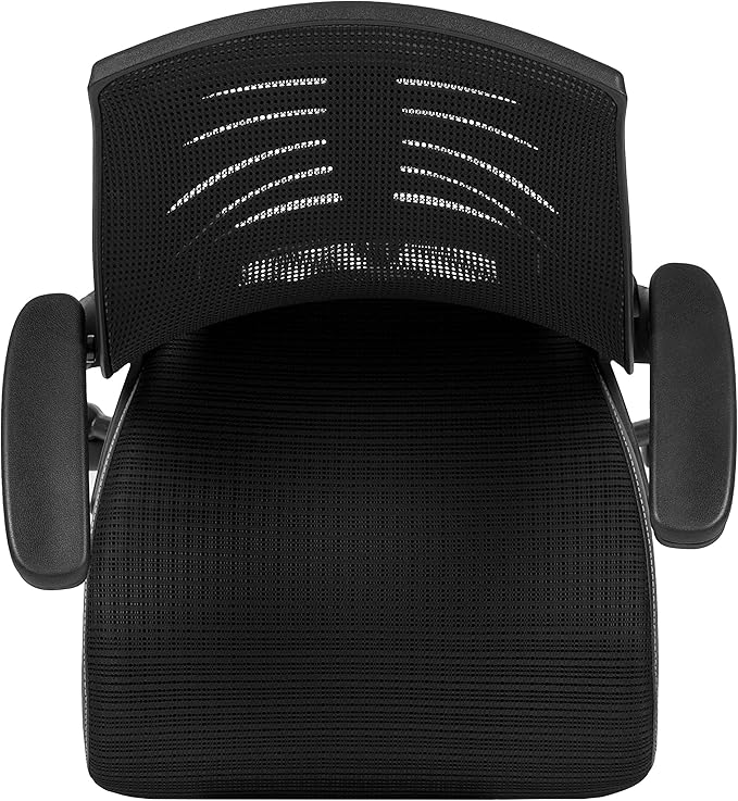 Flash Furniture Kale High-Back Ergonomic Mesh Office Chair with Flip-Up Arms and Adjustable Foot Ring, Spine-Back Tall Executive Swivel Chair, Black