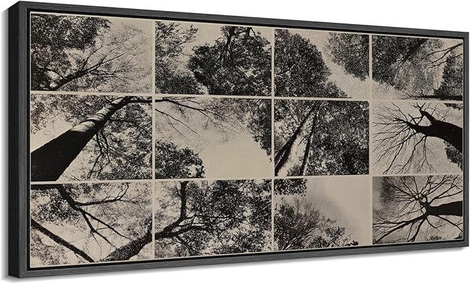SIGNFORD Extra Large Framed Canvas Print Wall Art Black and White Forest Canopy Grid Collage Illustrations Modern Art Calm Warm for Living Room, Bedroom, Office - 60"x30"
