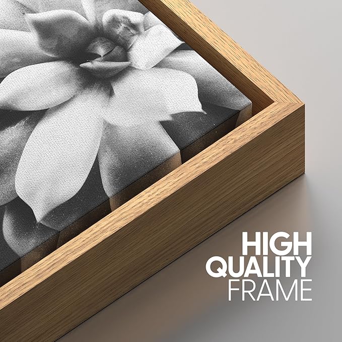 SIGNWIN Framed Wall Art Print Set Echeveria Succulent Variety Nature Plants Photography Modern Art Closeup Relax/Calm Dark Black and White for Living Room, Bedroom, Office - 24"x36"x3 Natural